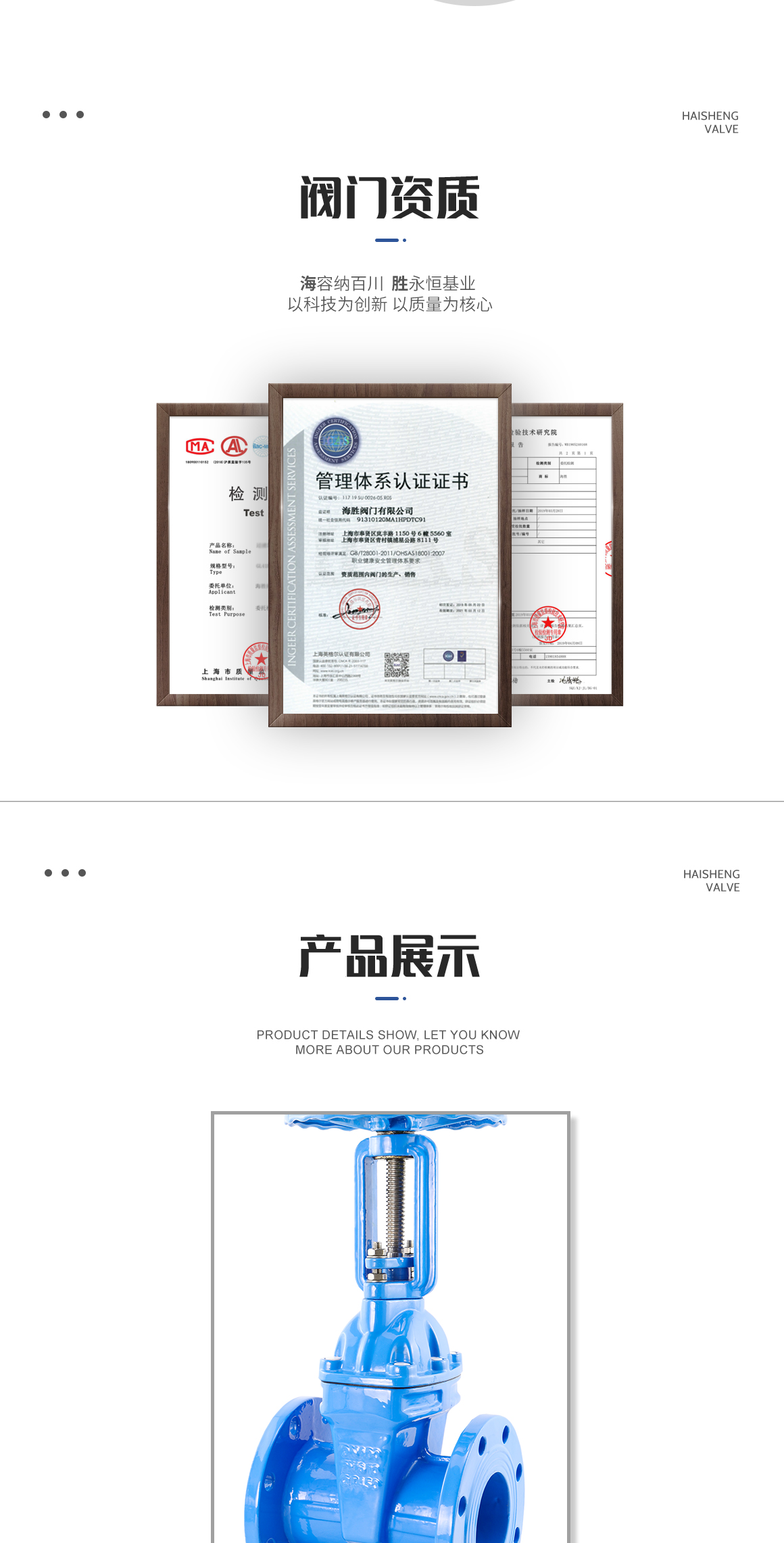 明杆软密封闸阀Z41X资质 明杆软密封闸阀Z41X资质