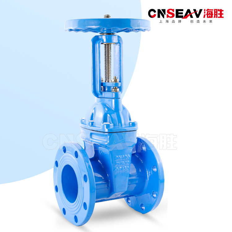 明杆软密封闸阀Z41X