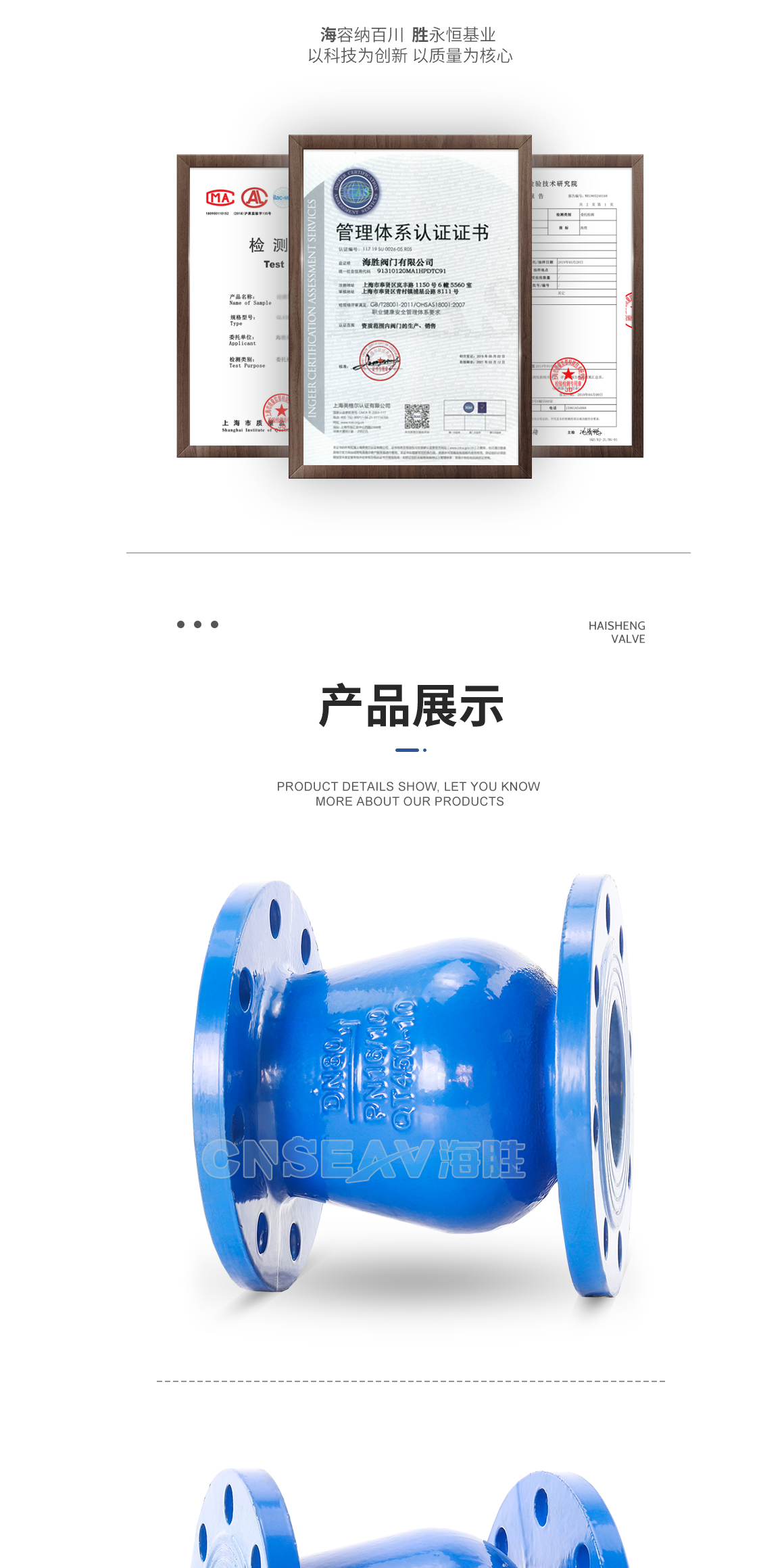 DRVZ静音止回阀图片 DRVZ静音止回阀图片