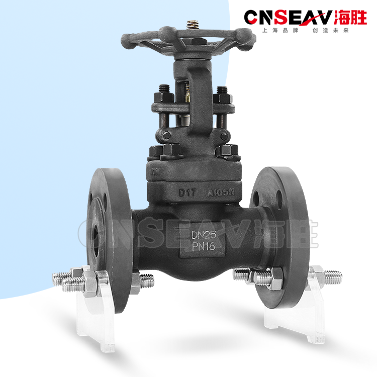 锻钢法兰闸阀J41H