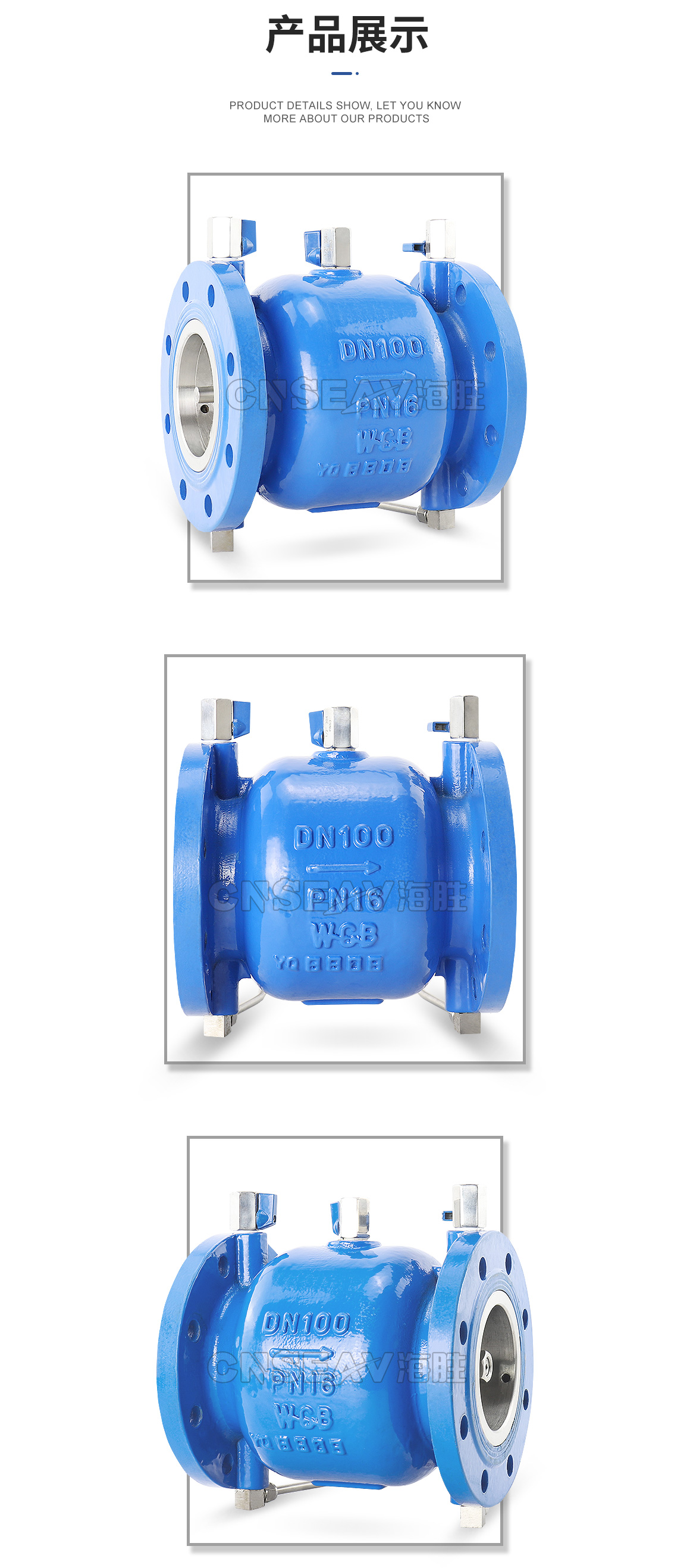 球墨铸铁低阻力倒流防止器LHS743X图片 球墨铸铁低阻力倒流防止器LHS743X图片